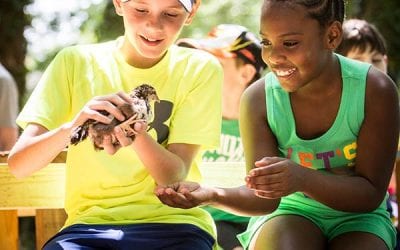 Third Graders Meet Chickens Near the Garden