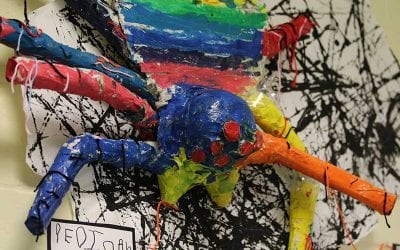 Spiders: Prekindergarten Passion Project