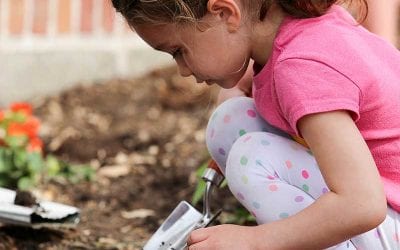 Prekindergarten Celebrates Earth Day 2016