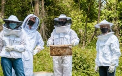 Beekeeping Comes to MFS