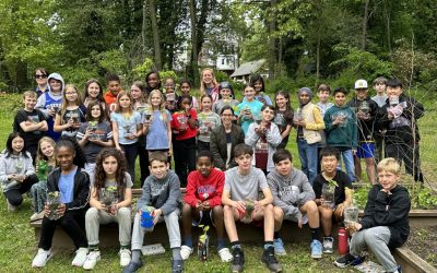 Fifth Graders Learn Sustainable Gardening Practices; Plant Vegetables in MFS Community Garden